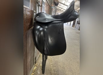 Kentaur elektra