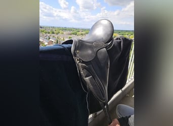 Net zwart Pagoni dressuurzadel van 17 inch te koop.