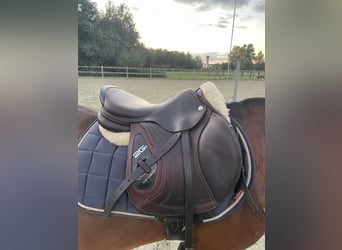 Cwd zadel 17 inch