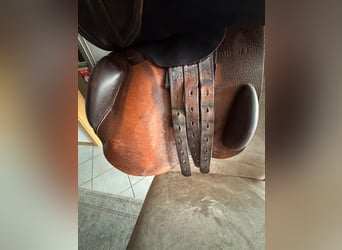 Jumping saddle Prestige Meredith 18''