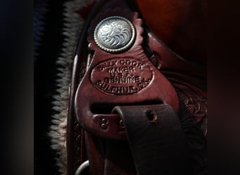 Mooi 16 Inch Full Quarter Billy Cook westernzadel met tooling te koop aangeboden