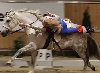 Trick Riding Ben Veach White Western Show Saddle