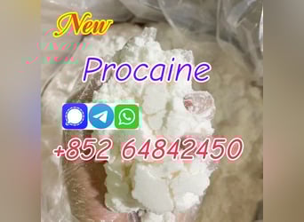 Buy Cas59-46-1 Procaine Base Procaine powder with premium quality 
