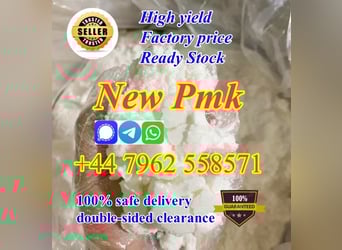 Netherlands hot seller new PMK Powder with high purity best price in stock 