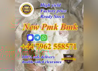 Top quality competitive price new pmk powder with high yield in stock