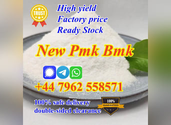 where to buy New substitutes pmk powder cas28578-16-7 with high yield