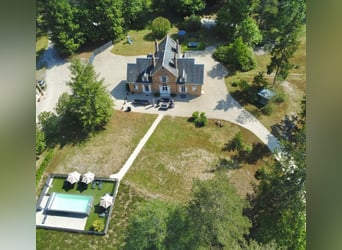 5-sterrenruitergîtes, stallen en buitenrijbaan in het hart van de Sologne