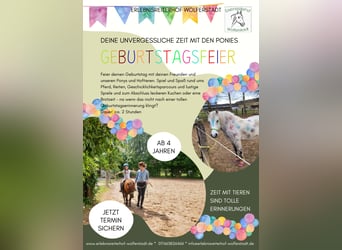 Kindergeburtstag auf dem Erlebnisreiterhof 