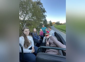 Paardrijvakanties - meer dan alleen paardrijden