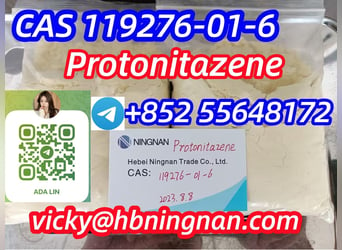 Protonitazene hydrochloride cas 119276–01–6 powder 