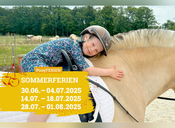 Reiterferien „Sommertraum“