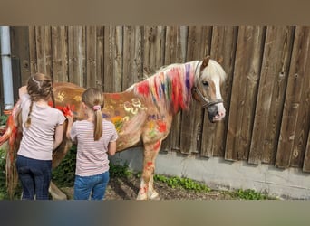 Reitferien für Kinder und Jugendliche