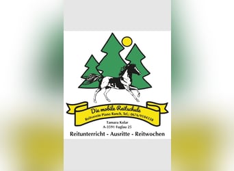 Reitwochen Reitcamps im Waldviertel in Niederösterreich 