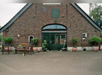 Vakantie op de Manege d'Issel