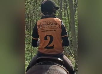 cross-country courses for beginner in Bavaria