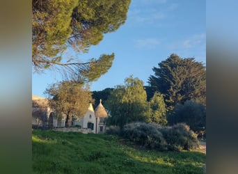 Intensieve dagen bij Josephine Cyr in Martina Franca - Italië