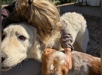 Intensieve dagen bij Josephine Cyr in Martina Franca - Italië