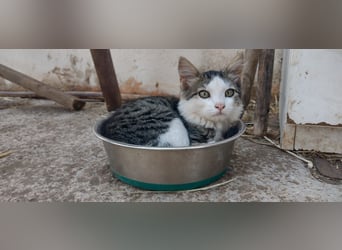 Intensieve dagen bij Josephine Cyr in Martina Franca - Italië