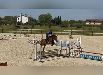 Paardrijvakantie in het prachtige Italië🐴🇮🇹