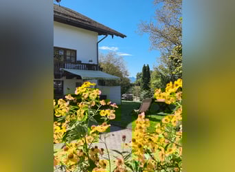 Urlaub mit Deinem eigenen Pferd