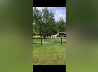 Vakantiewoningen in een prachtig ruitergebied, direct aan het meer op het eigen terrein.
