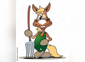 Aanbieden van mestdienst en paardenverzorging in 68794