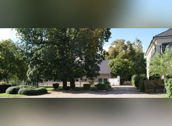STALLHILFE (M/W/D) AUF MINIJOB-BASIS GESUCHT
