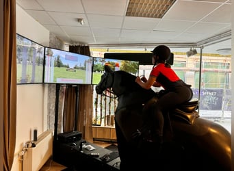 *TOP* Reitsimulator - Racewood Eventing simulator - Dressur , Springen & Vielseitigkeit