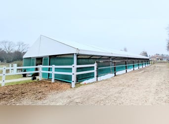 Zeiltent 15x30 m te koop, geschikt als rijtent, opslagloods of evenementen tent