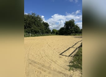 Kirchhellener Reitsand