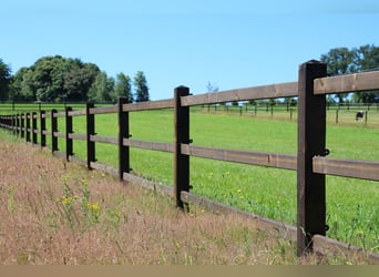 Op voorraad! Tuinhek | Houten hek | Houten omheining