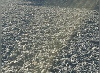 Extilschnitzel voor rijbakbodem – Softground ca. 8,8 ton goedkoop