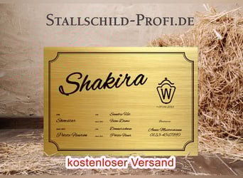 Jouw persoonlijke boxbord voor je paard - zelf ontwerpen of laten maken door een professional