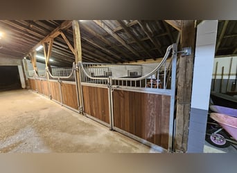 Op maat gemaakte paardenboxen en accessoires volgens uw wensen!