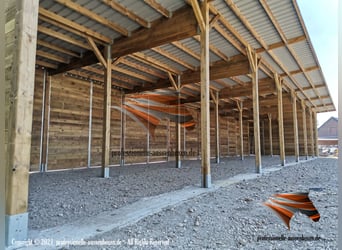 Open stal bouwen & paardenstal, weilandafsluiting - weiladhut voor paard