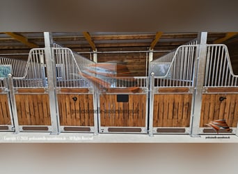 Paardenbox & stallen, stallenbox | Boxfront en scheidingswand - Paardenstal bouwen