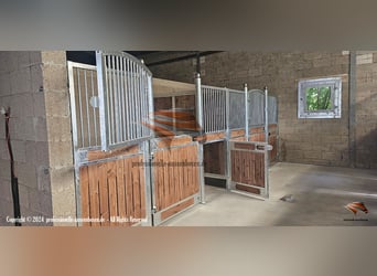 Paardenboxen en binnenboxen kopen - Boxeindelingen, boxfronten en stalboxen voor paarden