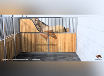 Paardenboxen en binnenboxen kopen - Boxeindelingen, boxfronten en stalboxen voor paarden