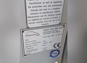 Paardentrainingsband HORSE GYM 2000