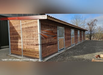 Stal en stalinrichting - Buitenstal en paardenbox kopen | Open stal en paardenverblijf