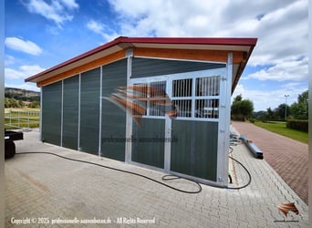 Stal en stalinrichting - Buitenstal en paardenbox kopen | Open stal en paardenverblijf