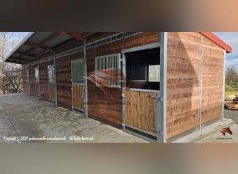 Stal en stalinrichting - Buitenstal en paardenbox kopen | Open stal en paardenverblijf