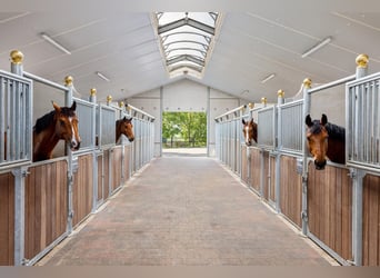 A beautiful equestrian facility, situated on a dream location!