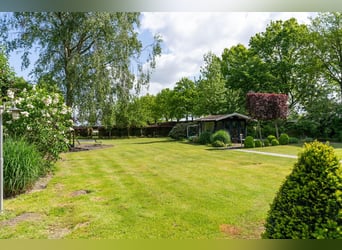 A beautiful, fully equipped equestrian facility located in a fantastic location