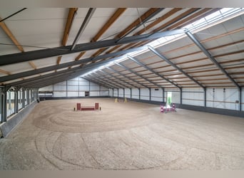 A complete equestrian accommodation with 2 company houses located in the outskirts of Venlo!