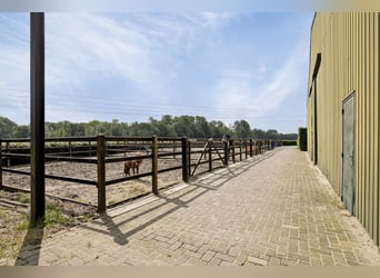 Beautifully finished equestrian property on a unique location with unobstructed view!