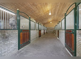 Beautifully finished equestrian property on a unique location with unobstructed view!