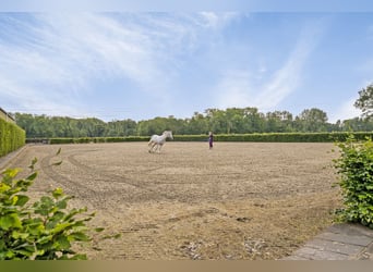 Beautifully finished equestrian property on a unique location with unobstructed view!