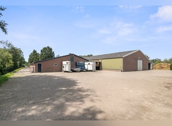 Detached house with riding hall behind, a half-hour drive from Equestrian Centre de Peelbergen!