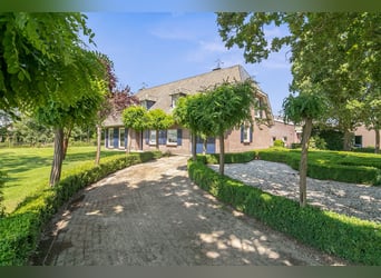 Detached house with riding hall behind, a half-hour drive from Equestrian Centre de Peelbergen!